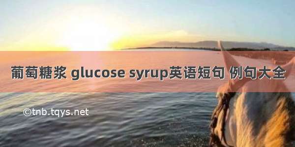 葡萄糖浆 glucose syrup英语短句 例句大全