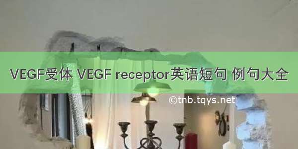 VEGF受体 VEGF receptor英语短句 例句大全