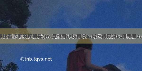 引起病理性尿比重减低的疾病是()A.急性肾小球肾炎B.慢性肾衰竭C.糖尿病D.心功能不全E.