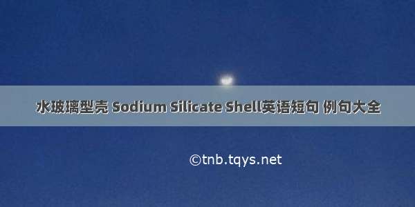 水玻璃型壳 Sodium Silicate Shell英语短句 例句大全