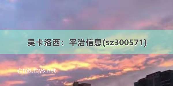 吴卡洛西：平治信息(sz300571)