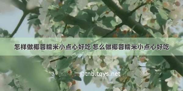 怎样做椰蓉糯米小点心好吃 怎么做椰蓉糯米小点心好吃