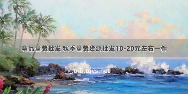 精品童装批发 秋季童装货源批发10-20元左右一件