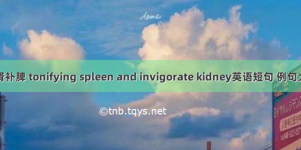 滋肾补脾 tonifying spleen and invigorate kidney英语短句 例句大全