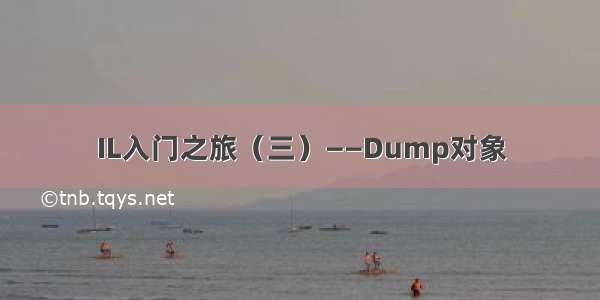 IL入门之旅（三）——Dump对象