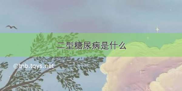 二型糖尿病是什么