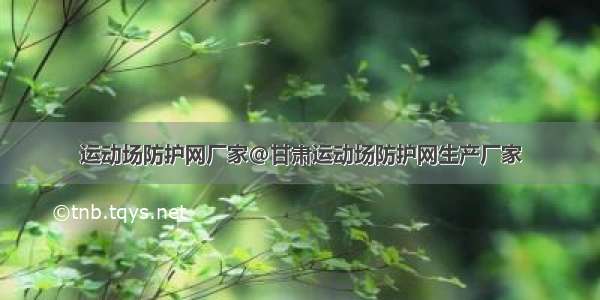 运动场防护网厂家@甘肃运动场防护网生产厂家