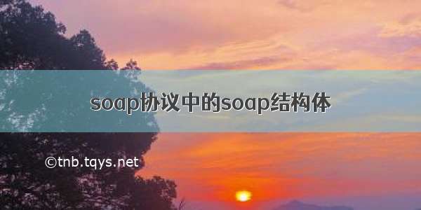 soap协议中的soap结构体