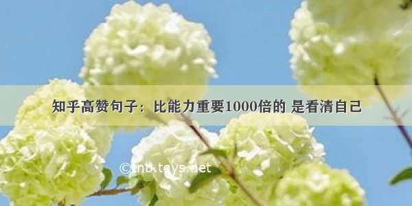 知乎高赞句子：比能力重要1000倍的 是看清自己