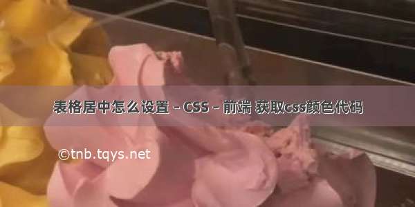 表格居中怎么设置 – CSS – 前端 获取css颜色代码