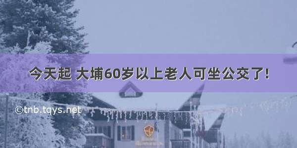 今天起 大埔60岁以上老人可坐公交了!