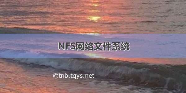 NFS网络文件系统