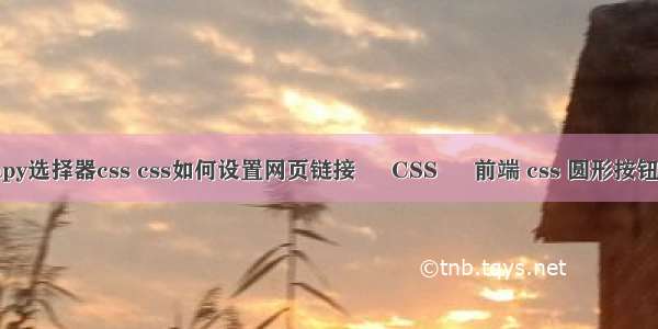 scrapy选择器css css如何设置网页链接 – CSS – 前端 css 圆形按钮样式