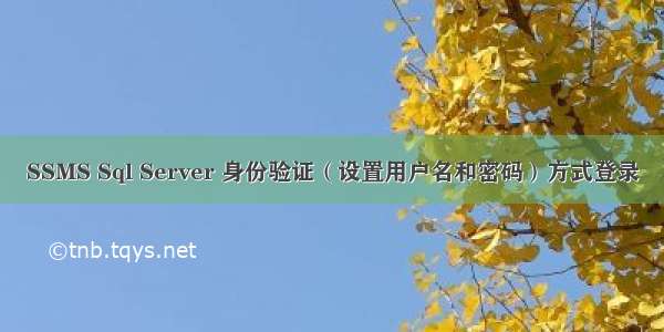 SSMS Sql Server 身份验证（设置用户名和密码）方式登录