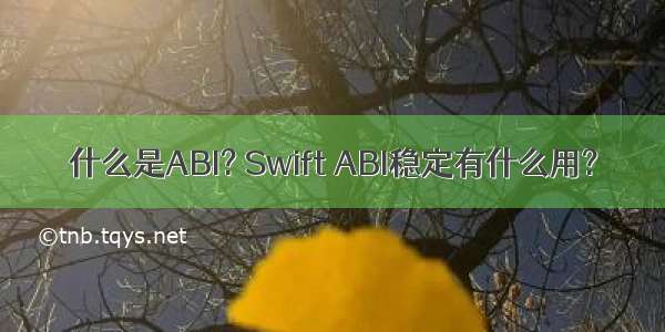 什么是ABI? Swift ABI稳定有什么用?