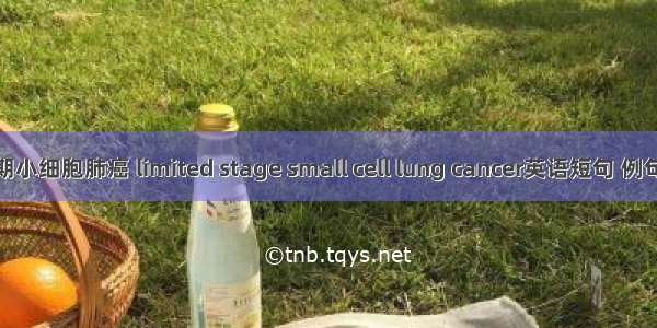 局限期小细胞肺癌 limited stage small cell lung cancer英语短句 例句大全