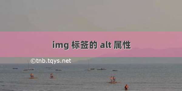 img 标签的 alt 属性