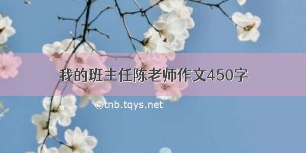 我的班主任陈老师作文450字