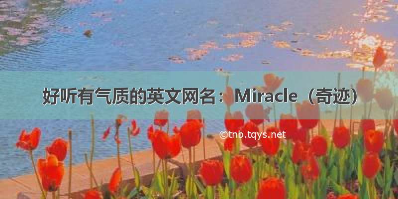 好听有气质的英文网名：Miracle（奇迹）