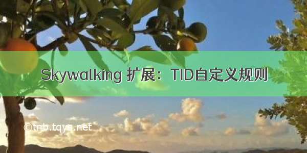 Skywalking 扩展：TID自定义规则