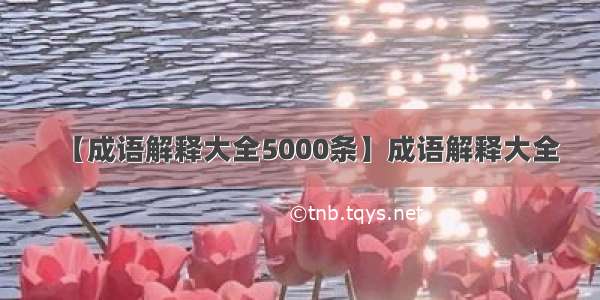 【成语解释大全5000条】成语解释大全