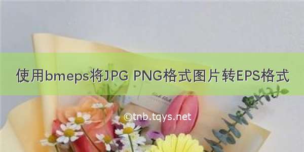 使用bmeps将JPG PNG格式图片转EPS格式