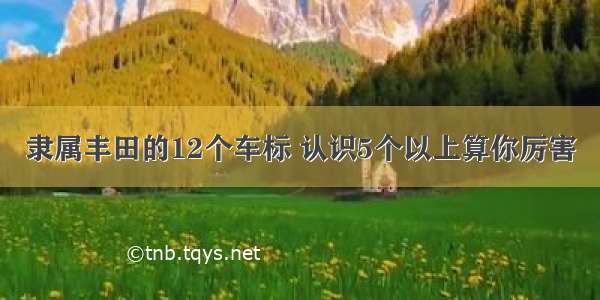 隶属丰田的12个车标 认识5个以上算你厉害