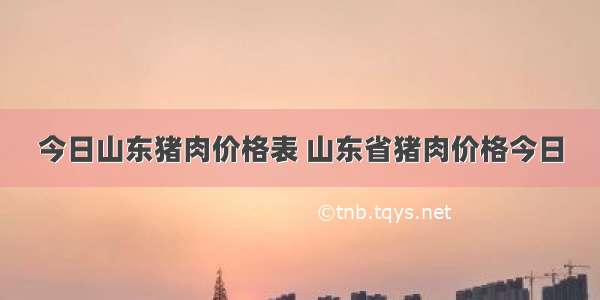 今日山东猪肉价格表 山东省猪肉价格今日