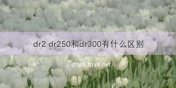 dr2 dr250和dr300有什么区别