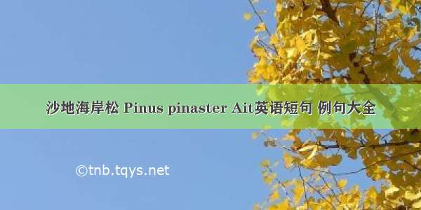 沙地海岸松 Pinus pinaster Ait英语短句 例句大全