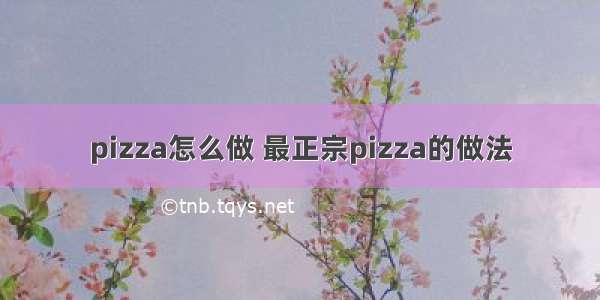 pizza怎么做 最正宗pizza的做法