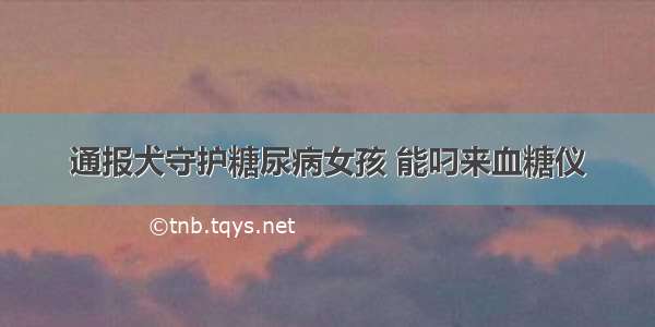 通报犬守护糖尿病女孩 能叼来血糖仪