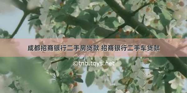 成都招商银行二手房贷款 招商银行二手车贷款