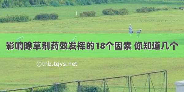 影响除草剂药效发挥的18个因素 你知道几个