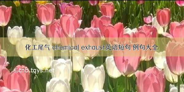 化工尾气 chemical exhaust英语短句 例句大全