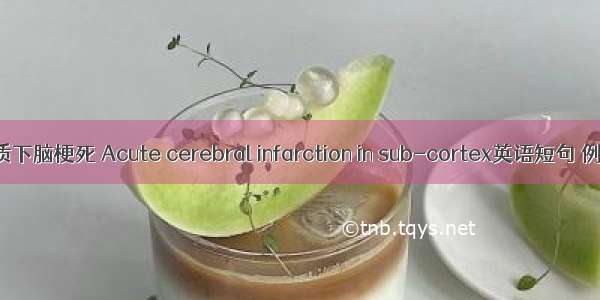 急性皮质下脑梗死 Acute cerebral infarction in sub-cortex英语短句 例句大全