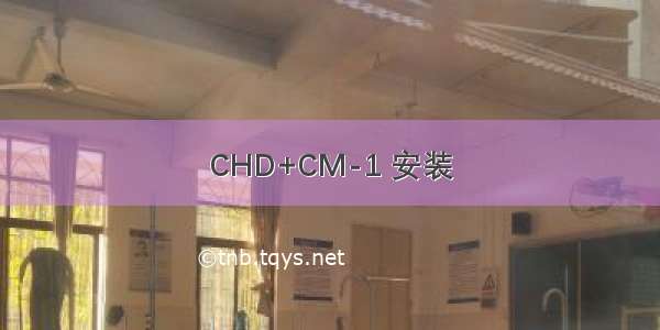 CHD+CM-1 安装