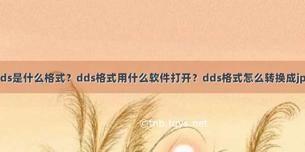 dds是什么格式？dds格式用什么软件打开？dds格式怎么转换成jpg