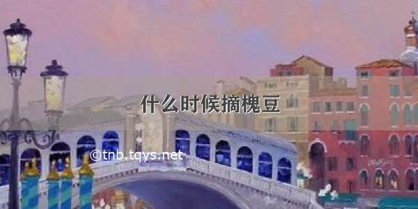 什么时候摘槐豆