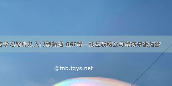 C语言学习路线从入门到精通 BAT等一线互联网公司等你来做运营 – 网络