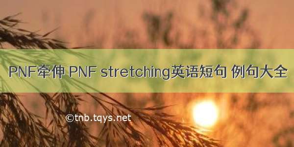 PNF牵伸 PNF stretching英语短句 例句大全