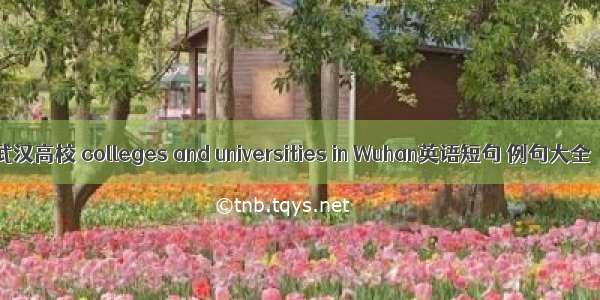 武汉高校 colleges and universities in Wuhan英语短句 例句大全