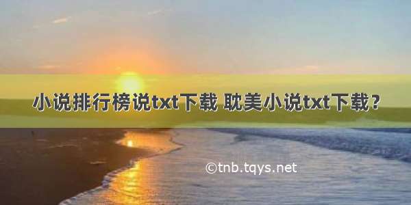 小说排行榜说txt下载 耽美小说txt下载？