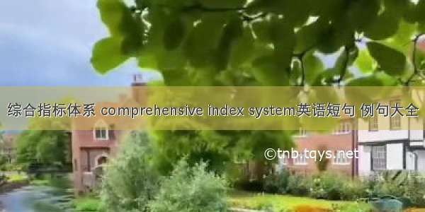 综合指标体系 comprehensive index system英语短句 例句大全