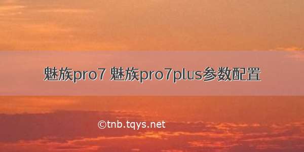 魅族pro7 魅族pro7plus参数配置