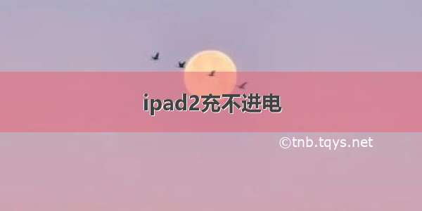 ipad2充不进电