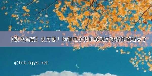 【就医指南】更方便！医保电子凭证移动支付操作流程来了→