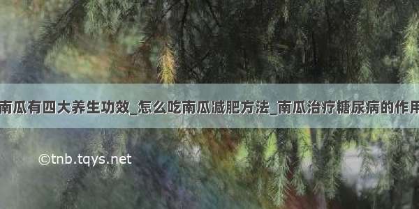 南瓜有四大养生功效_怎么吃南瓜减肥方法_南瓜治疗糖尿病的作用