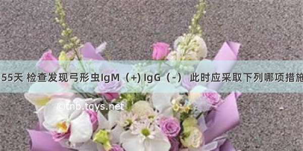 某孕妇 孕55天 检查发现弓形虫IgM（+) IgG（-） 此时应采取下列哪项措施A.终止妊