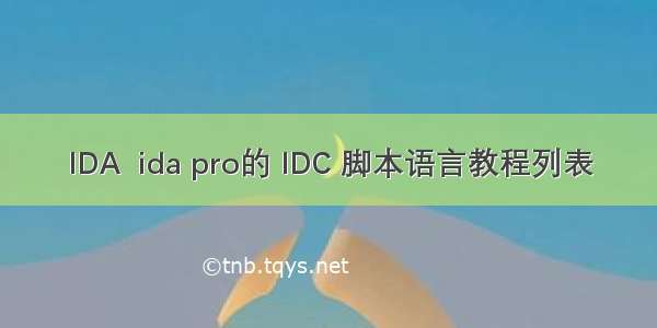 IDA  ida pro的 IDC 脚本语言教程列表